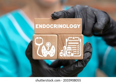 Medical And Scientific Concept Of Endocrinology. Human Endocrine System And Diseases.