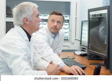 Medical Specialist Studying An Mri Result From The Computer