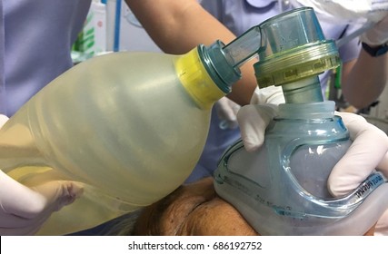 Medical Team Resuscitate Patient Emergency Room Stock Photo