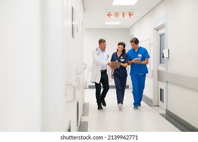 Medical team walking in hurry and interacting at clinic. Mature doctor and surgeon working on digital tablet with nurse and walking in hospital hallway. Head physician working with his medical team.