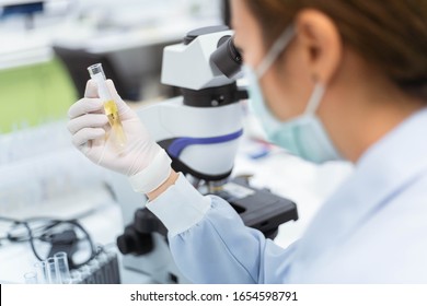 Medical Technologist  Holding Urine Tube Test In Medical Laboratory