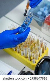 Medical Test Tube In Hand In Blue Gloves.