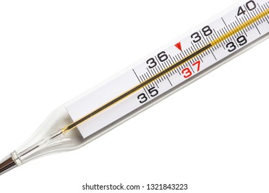 Medical Thermometer Shows Temperature Temperature 381 Stock Photo (Edit ...