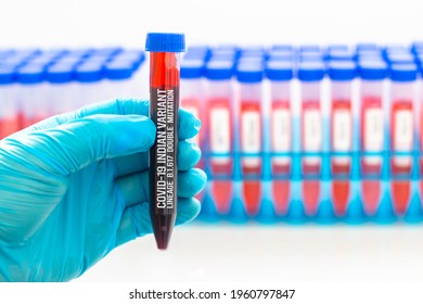 A medical Worker holding a centrifuge tubes with graduated marks with a blood with Covid-19 Indian variant virus sample. Concept: Lineage B.1.617, Double mutation