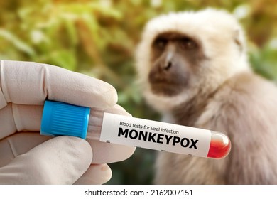 medical worker holds a test tube with Monkeypox virus infected blood sample in his hands close-up against the background of a sad monkey. Animal epidemic. Epidemic of smallpox monkeys
