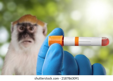 Medical Worker Holds Test Tube Monkeypox Stock Photo 2187863091 ...