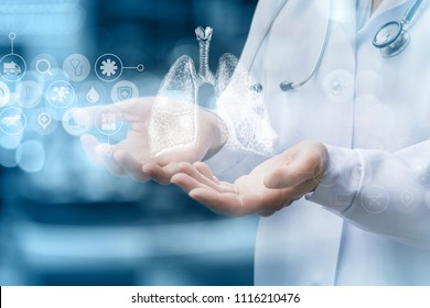 Medical Worker Shows Human Lungs On Blurred Background.