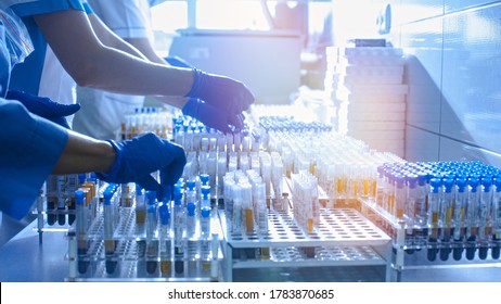 Medical workers, laboratory assistants work with test tubes for the analysis of biomaterials in medical laboratories. Hands in rubber gloves hold test tubes. - Shutterstock ID 1783870685