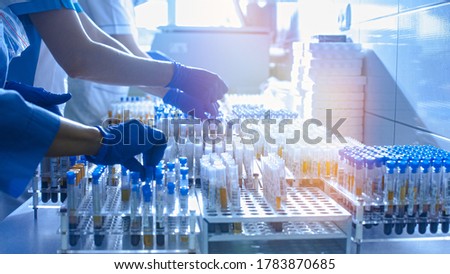 Medical workers, laboratory assistants work with test tubes for the analysis of biomaterials in medical laboratories. Hands in rubber gloves hold test tubes.