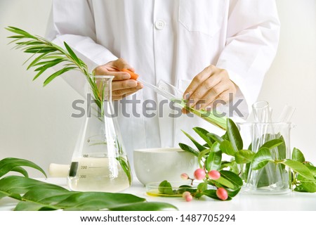Medicinal herbal plant analysis, Natural organic botany drug research and development, Scientist formulating plant derived supplement medicine, Alternative traditional herbal remedies. 