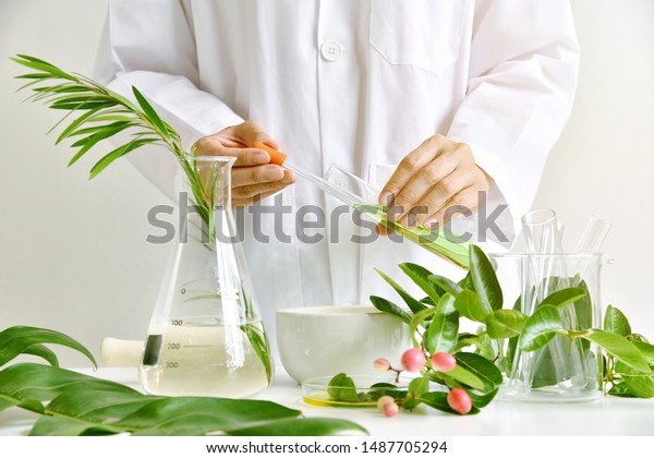Medicinal herbal plant analysis, Natural organic botany\
drug research and development, Scientist formulating plant derived\
supplement medicine, Alternative traditional herbal remedies.\
