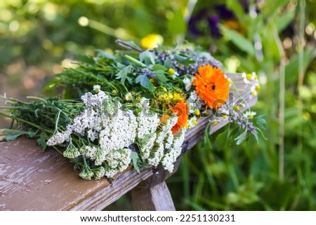 Similar – Wooden box filled with vegetables and flowers