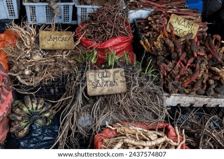 Medicinal herbs and dried roots sold at an open air market in Sapa, Vietnam. The signs read, clockwise from top left: ginseng turtle root, jade crane mushroom and ginseng root. 