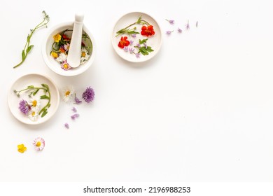 Medicinal Herbs With Mortar And Essential Oil Bottle. Herbal Apothecary