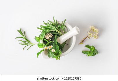 Medicinal Herbs In Mortar With Pestle Isolated On White Background. Top View. Herbal Medicine Concept.