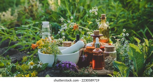 Medicinal herbs and tinctures alternative medicine. Selective focus. Nature. - Shutterstock ID 2230589719