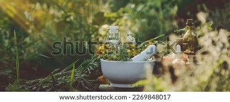 Similar – Image, Stock Photo marigold, medicinal herb with flower