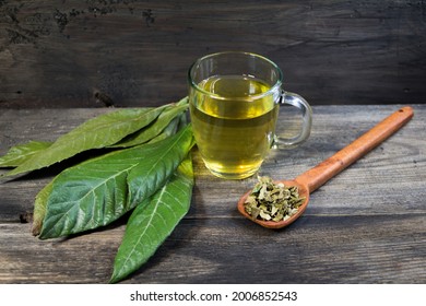 Medicinal Infusion Of Loquat Leaves With Honey