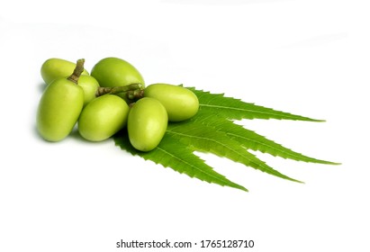 Medicinal Neem Leaves With Fruit Over White Background