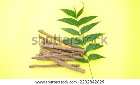 Medicinal neem leaves with twigs. Close up of ingredients of ayurvedic treatment i.e neem,neem leaves