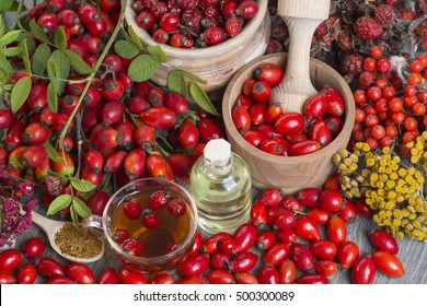 Medicinal plants and herbs composition: Dog rose, bunch branch Rosehips, types Rosa canina hips, essential oil. bunch, Tea with rosehip, Tansy, Anise, dried flowers of linden and chamomile on white