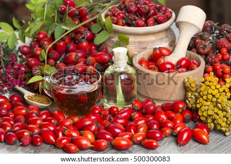 Medicinal plants and herbs composition: Dog rose, bunch branch Rosehips, types Rosa canina hips, essential oil. bunch, Tea with rosehip, Tansy, Anise, dried flowers of linden and chamomile on white
