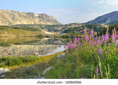 Medicine Bow Mountains And Wild Flowers In Wyoming During Summer