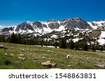 Medicine Bow National Forest, Wyoming, Usa. Green grass in front and snowy mountain at background