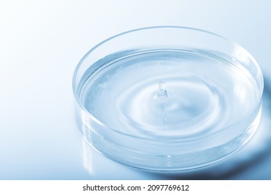 Medicine concept. Petri dish with transparent liquid and drop with copy space. Analysis, chemical experiment equipment. Blue gradient map filter. Shallow depth of field - Shutterstock ID 2097769612