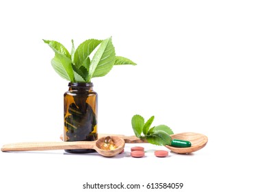 Medicine herb. Herbal pills with healthy medical plant. Green leaf, alternative drug. Natural pharmaceutical capsule. Vitamin supplement for care, medication, treatment.