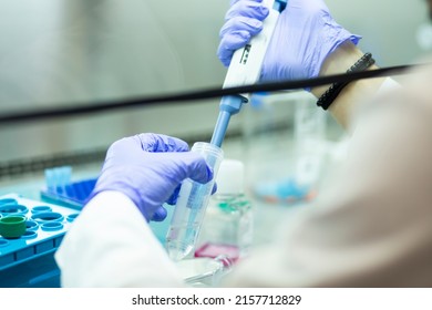 medicine and medical laboratory cell culturing at the safety cabinet  - Shutterstock ID 2157712829