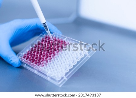 medicine and medical laboratory cell culturing at the safety cabinet