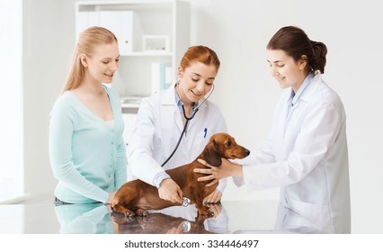 Medicine, Pet, Animal, Health Care And People Concept - Happy Woman And Veterinarian Doctor With Stethoscope Checking Up Dachshund Dog Health At Vet Clinic