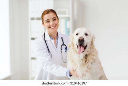 Medicine, Pet, Animals, Health Care And People Concept - Happy Veterinarian Or Doctor With Golden Retriever Dog At Vet Clinic