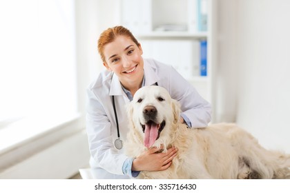 Medicine, Pet, Animals, Health Care And People Concept - Happy Veterinarian Or Doctor With Golden Retriever Dog At Vet Clinic