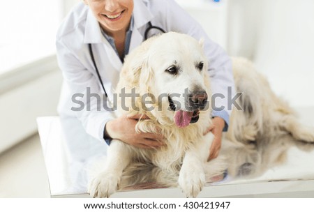 Similar – Image, Stock Photo Golden Retriever dog in yellow field at sunset. portrait