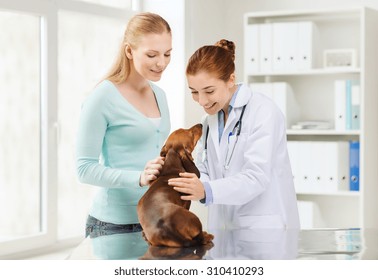 Medicine, Pet Care And People Concept - Happy Woman With Dachshund Dog And Veterinarian Doctor At Vet Clinic