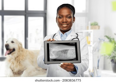 Medicine, Pet And Healthcare Concept - Happy Smiling Veterinarian Doctor Showing Animal's X-ray On Tablet Pc Computer Over Vet Clinic Office Background