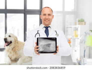 Medicine, Pet And Healthcare Concept - Happy Smiling Veterinarian Doctor Showing Animal's X-ray On Tablet Pc Computer Over Vet Clinic Office Background