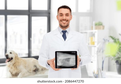 Medicine, Pet And Healthcare Concept - Happy Smiling Veterinarian Doctor Showing Animal's X-ray On Tablet Pc Computer Over Vet Clinic Office Background