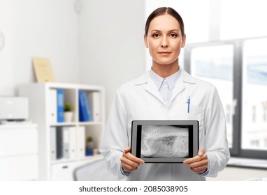 Medicine, Pet And Healthcare Concept - Veterinarian Doctor Showing Animal's X-ray On Tablet Pc Computer Over Vet Clinic Office Background