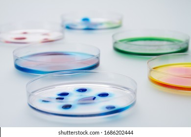 Medicine petri dishes with different reagents. Isolated on white background.
