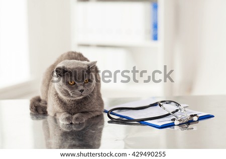 Similar – Image, Stock Photo cat Table Animal Pet Cat 1