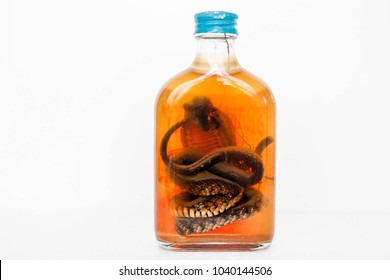347 Snake in liquor bottle Images, Stock Photos & Vectors | Shutterstock