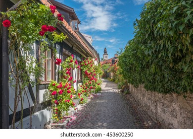 Medieval alley in the historic Hanse town Visby during summer in Sweden. 
