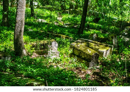 Medieval cemetry overgrown by forest. Sunlight illuminates three tombstones covered by green moss among many others. Shot near ancient city Chufut Kale, Bakhchisaray, Crimea