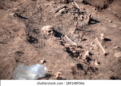 Medieval human remains unearth during archaeological excavation