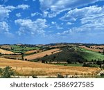 Medieval Italian village crowns distant hills as summer fields paint the landscape in gold, green, and silver. Olive groves and wheat fields create nature