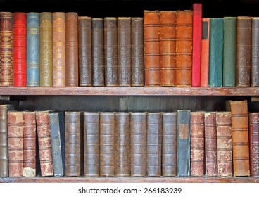 Medieval Leather Books Two Rows Closeup Stock Photo 266183939 ...