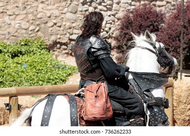 Medieval Soldier In His Horse